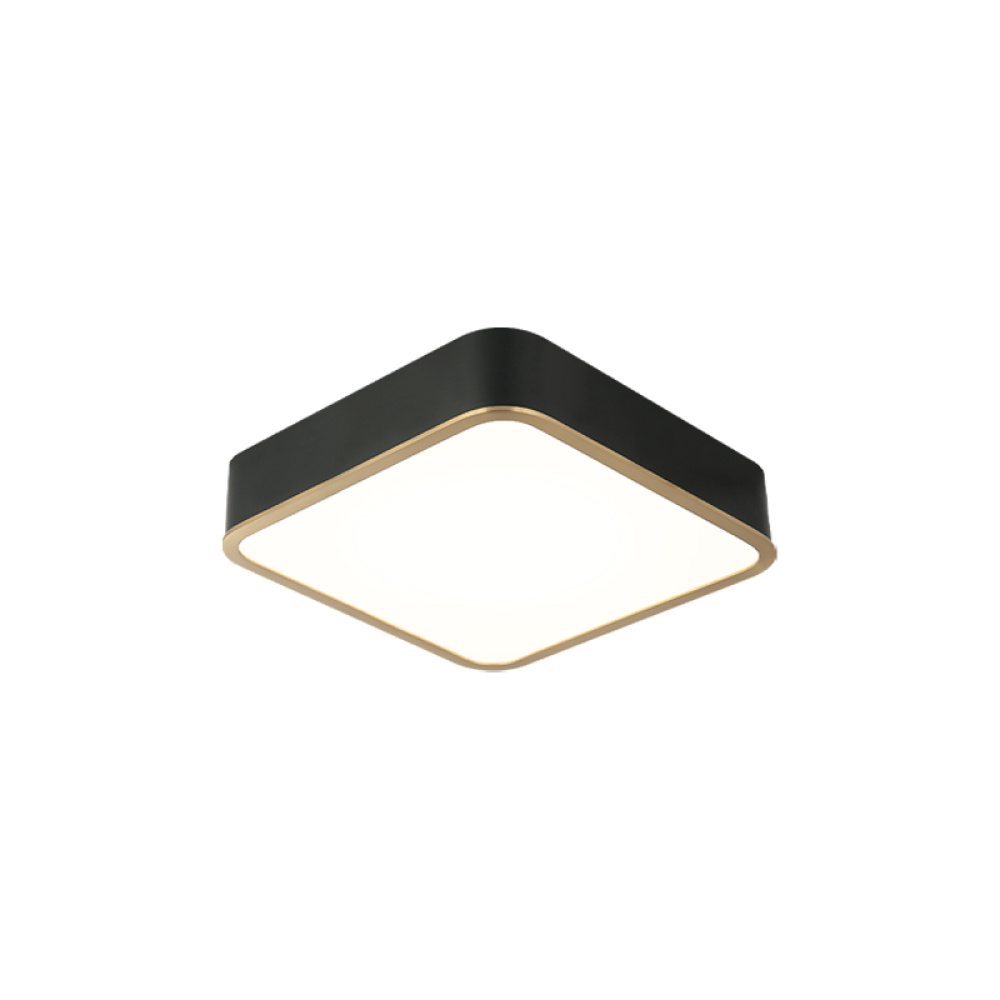 Ainslay Black + Aged Gold Brass Ceiling Mount